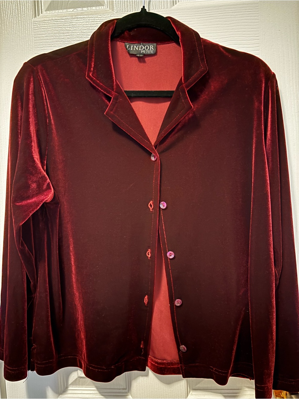 Velvet Button-Front Blouse in Deep Burgundy